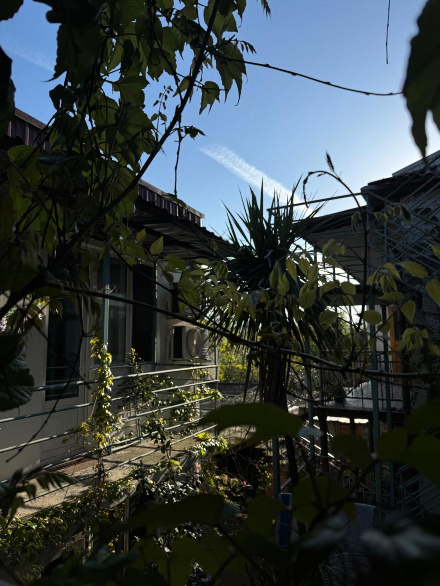 Appartement Shapatava